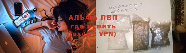 ECSTASY Магас