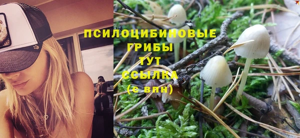 бошки Мегион
