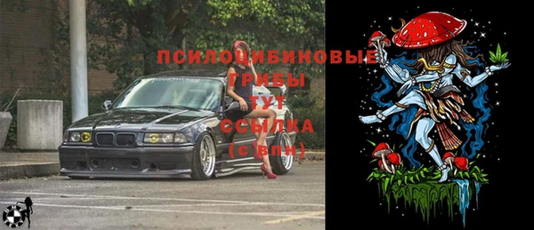 мдпв Медногорск