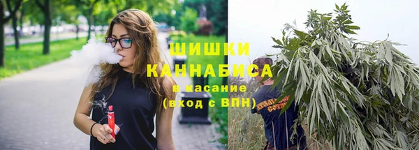 бошки Мегион